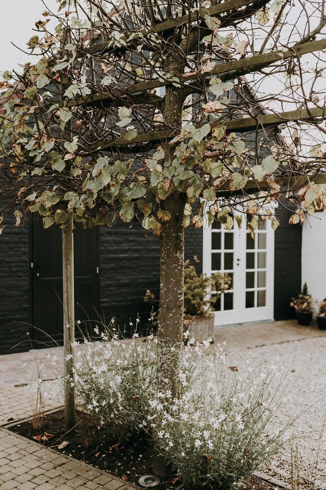 Charmeverblijf Juliette Kasterlee Exterior photo